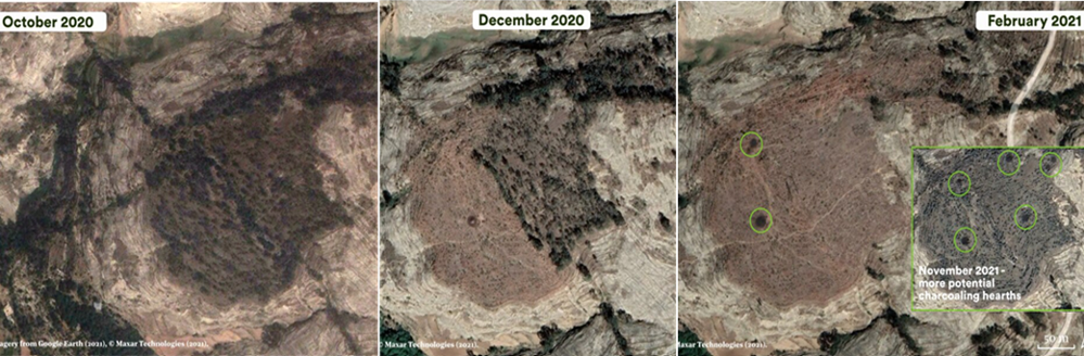 screenshot 2025 12 13 153023