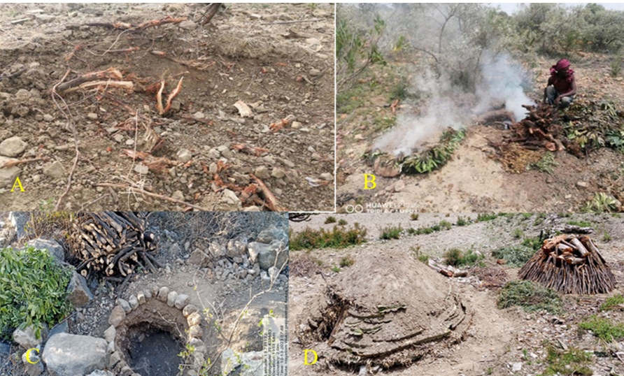 screenshot 2025 12 13 153408